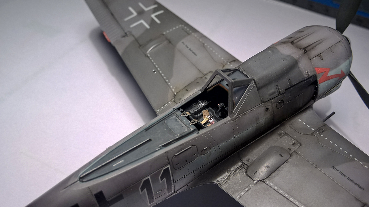 Fw-190 F8