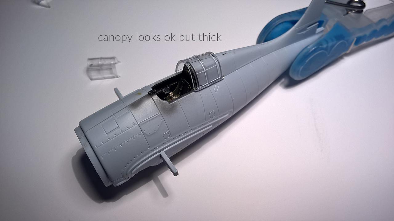 Canopies from Blister Packaging