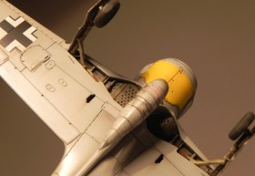 DSCN7081