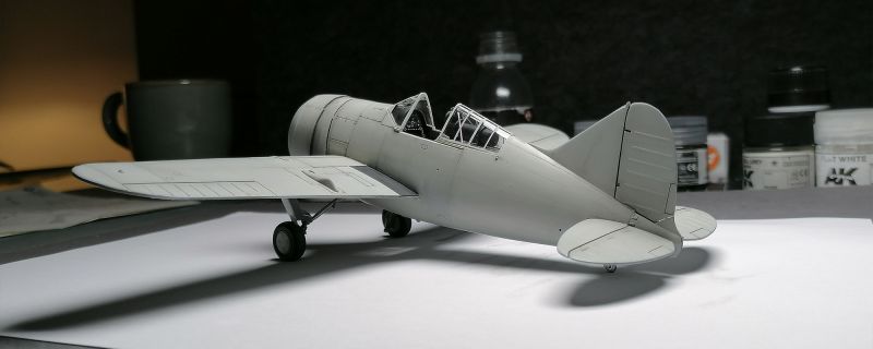 Brewster-Buffalo-F2A-2_Tamiya-1_48-0001a